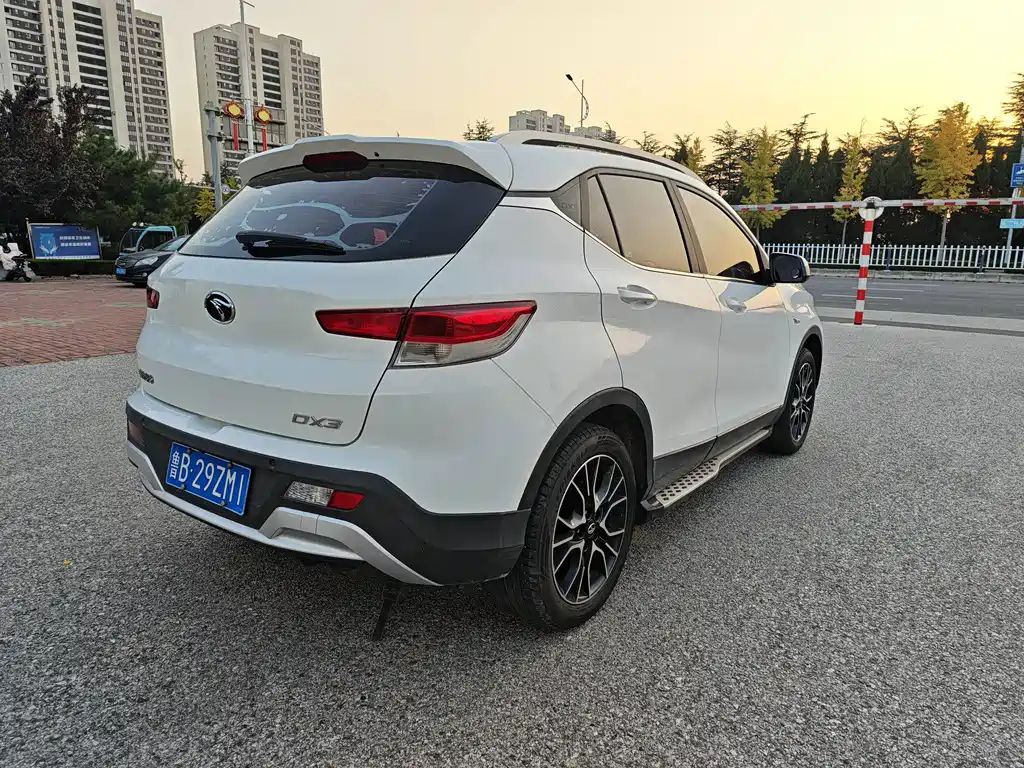 Soueast DX3 — миниатюра 4