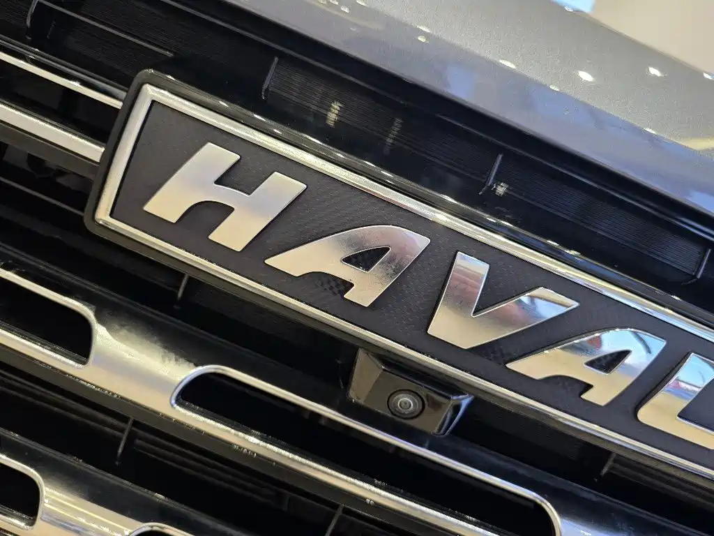 Haval Big Dog — миниатюра 14