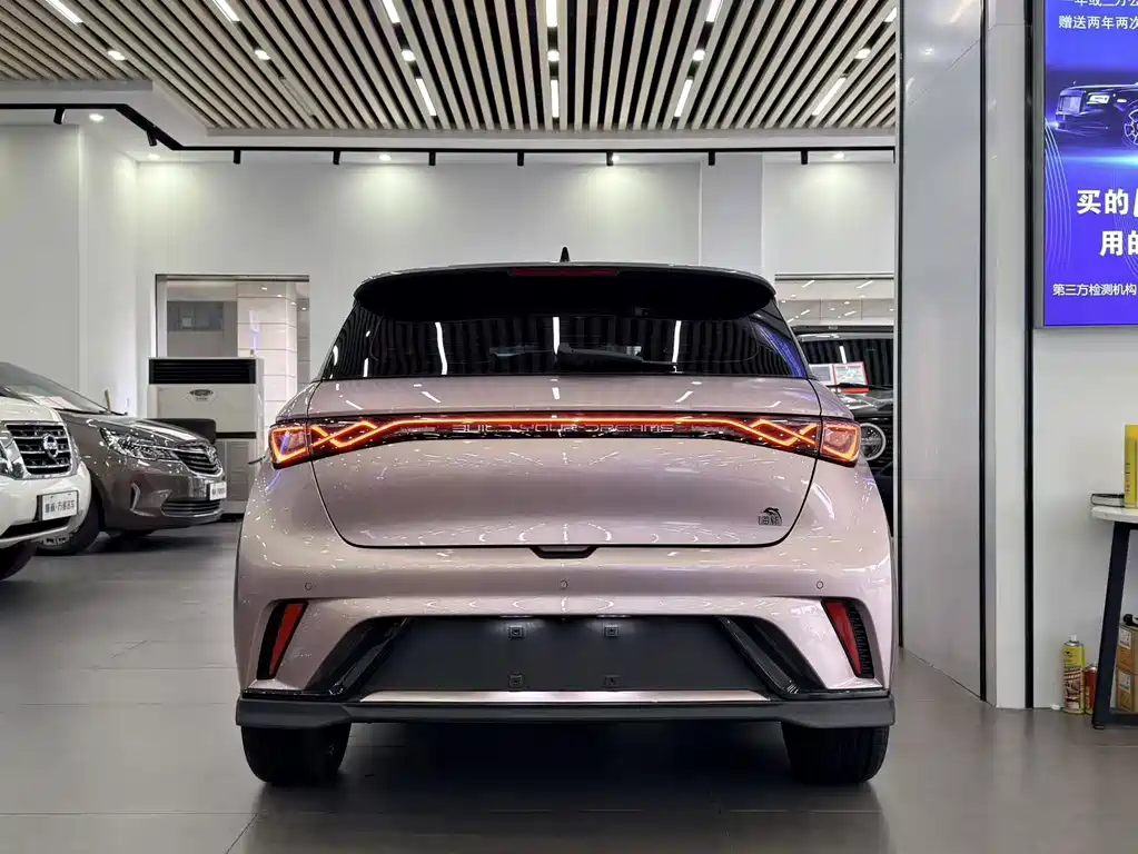 BYD Dolphin — миниатюра 5