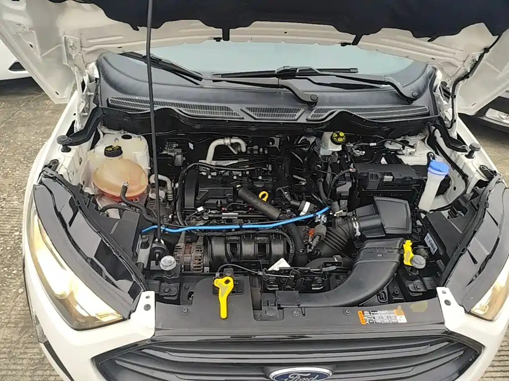 Ford Ecosport — миниатюра 20