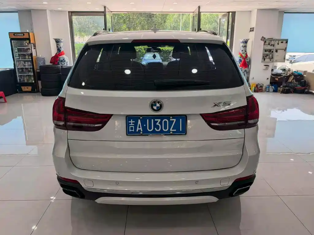 BMW X5 New Energy (Import) — миниатюра 9