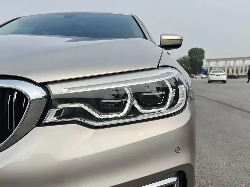 BMW 5 Series 5 2019 530Li Premium Luxury