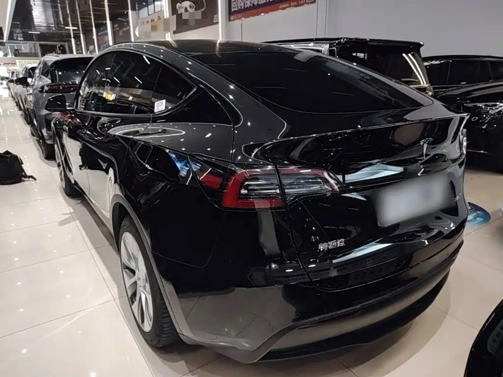 Tesla Model Y — миниатюра 5