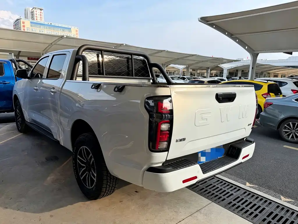 Great Wall Pao — миниатюра 14