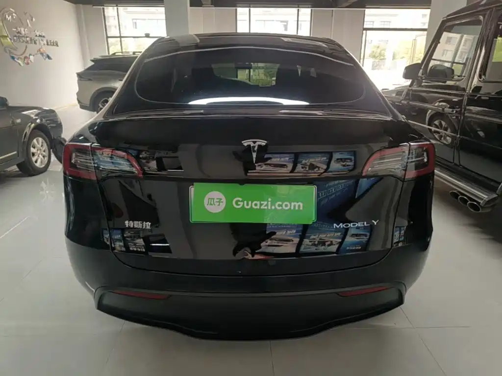 Tesla Model Y — миниатюра 6