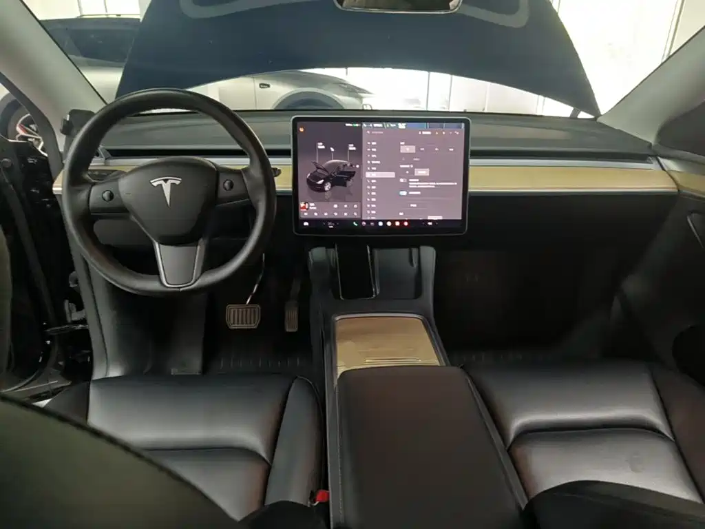 Tesla Model Y — миниатюра 10