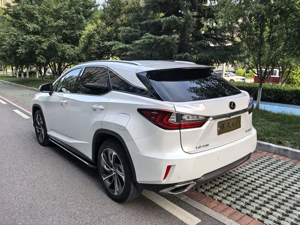 Lexus RX 2020 300 Elegant VI