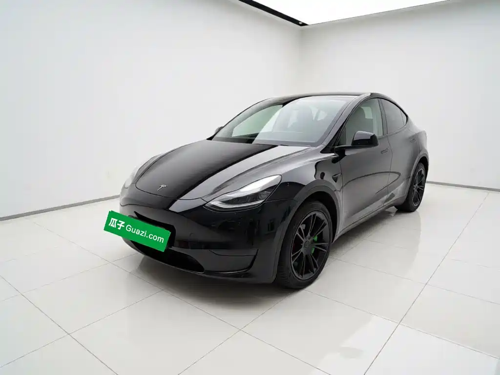 Tesla Model Y — миниатюра 2