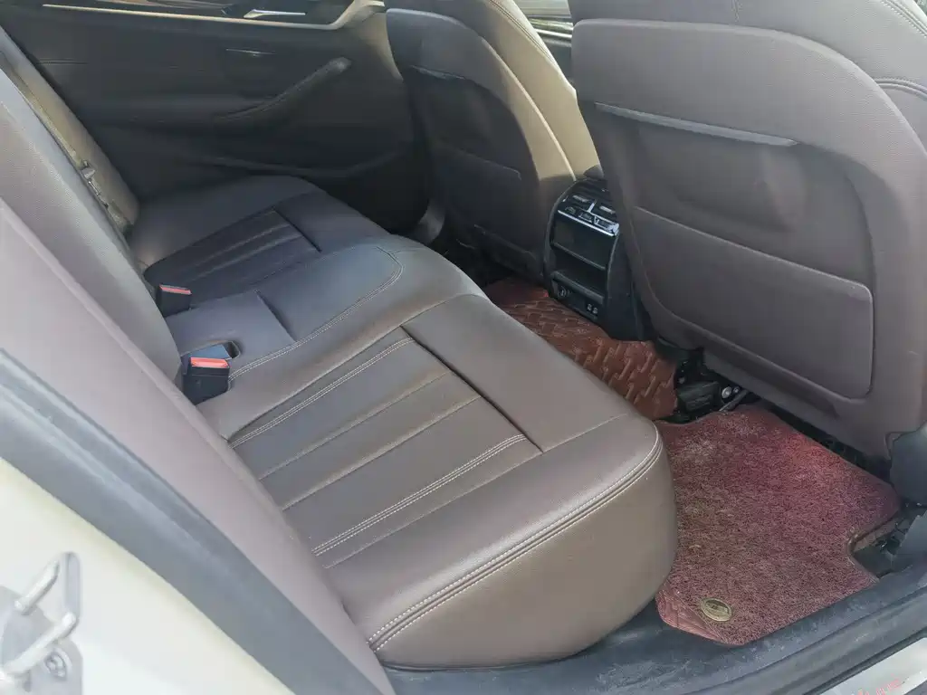 BMW 5 Series 5 2020 525Li Luxury