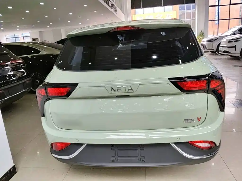 Neta Neta V — миниатюра 6