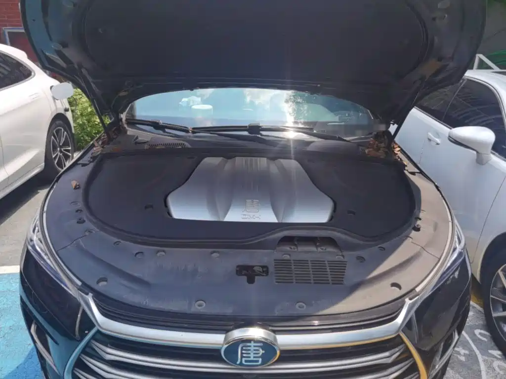 BYD Tang New Energy — миниатюра 11