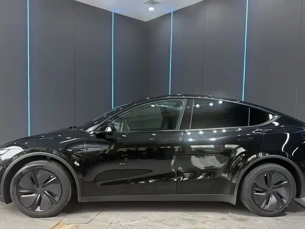 Tesla Model Y — миниатюра 5
