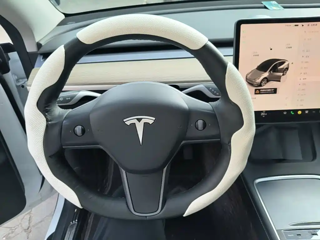 Tesla Model Y — миниатюра 11