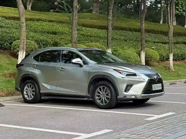 2018 Lexus NX