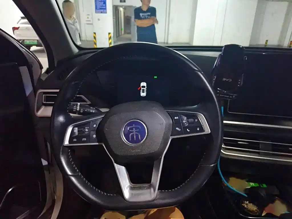 BYD Pro — миниатюра 3