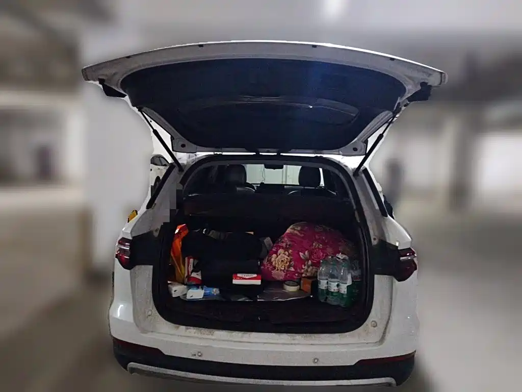 BYD Pro — миниатюра 10