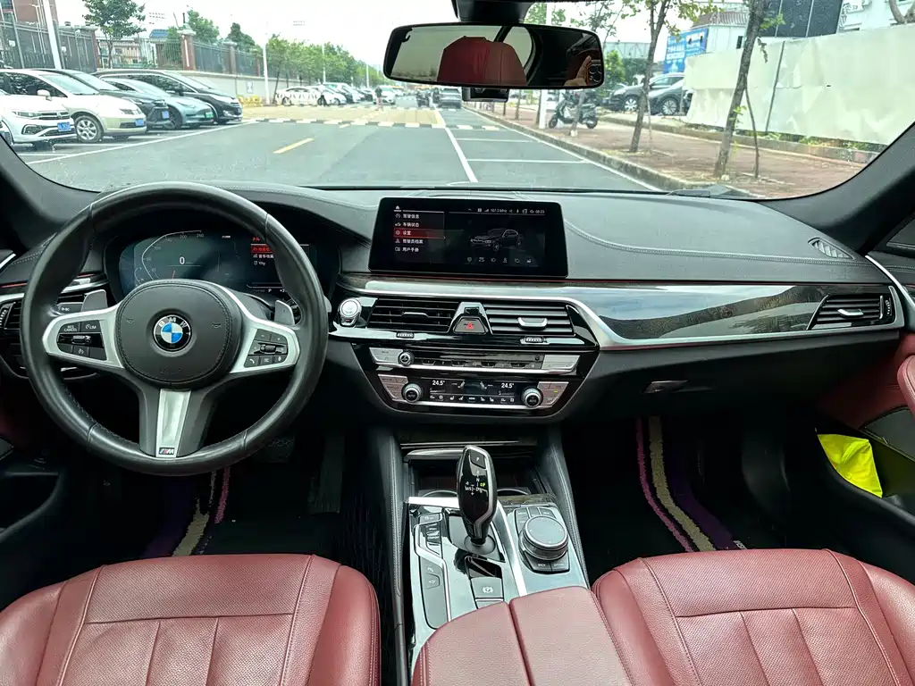 BMW 5 Series 530Li Premium Type M Sport Package, фото 11