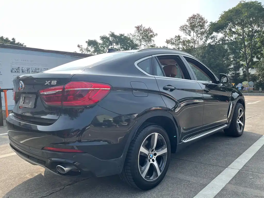 BMW X6 — миниатюра 5