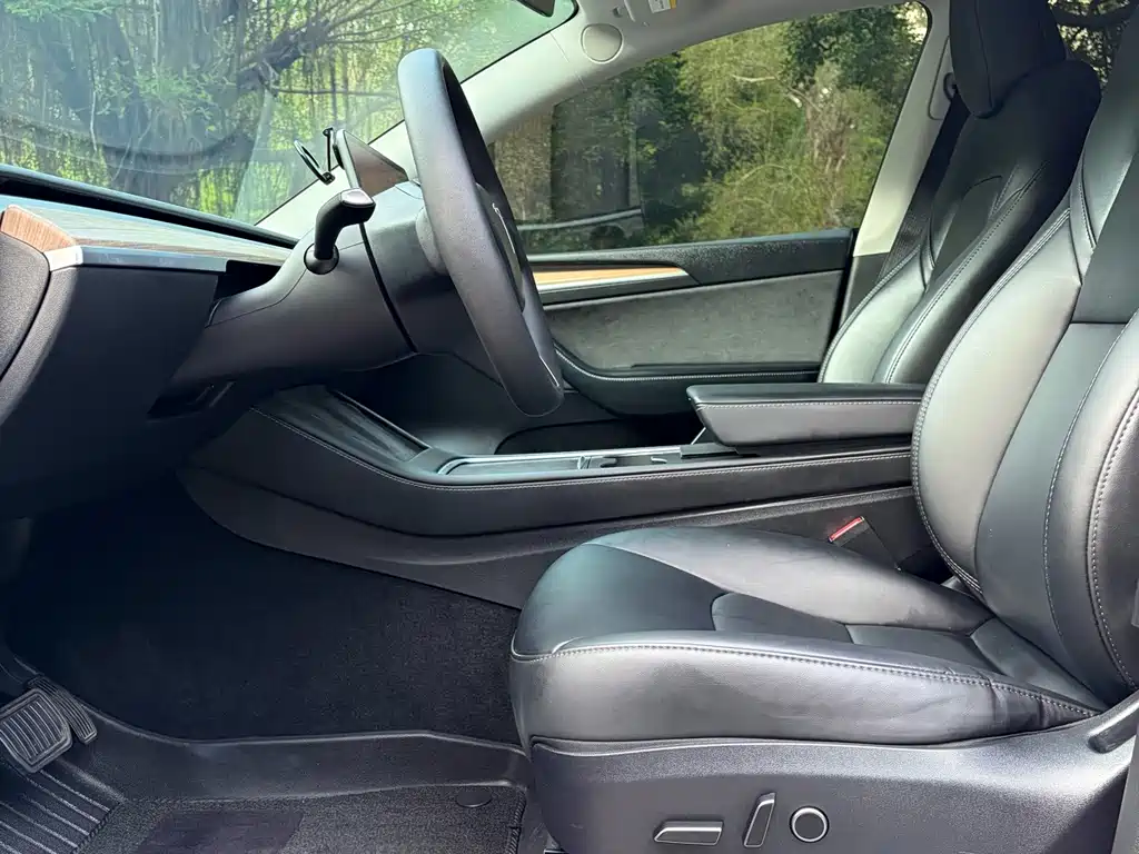 Tesla Model Y — миниатюра 10