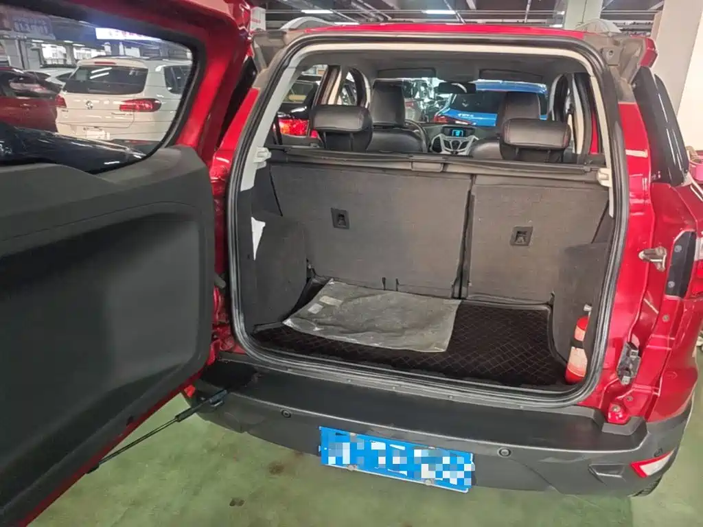 Ford Ecosport — миниатюра 19