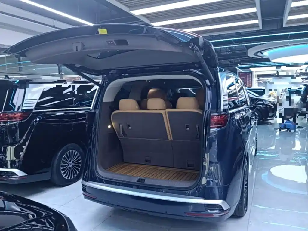Denza Denza D9 — миниатюра 19