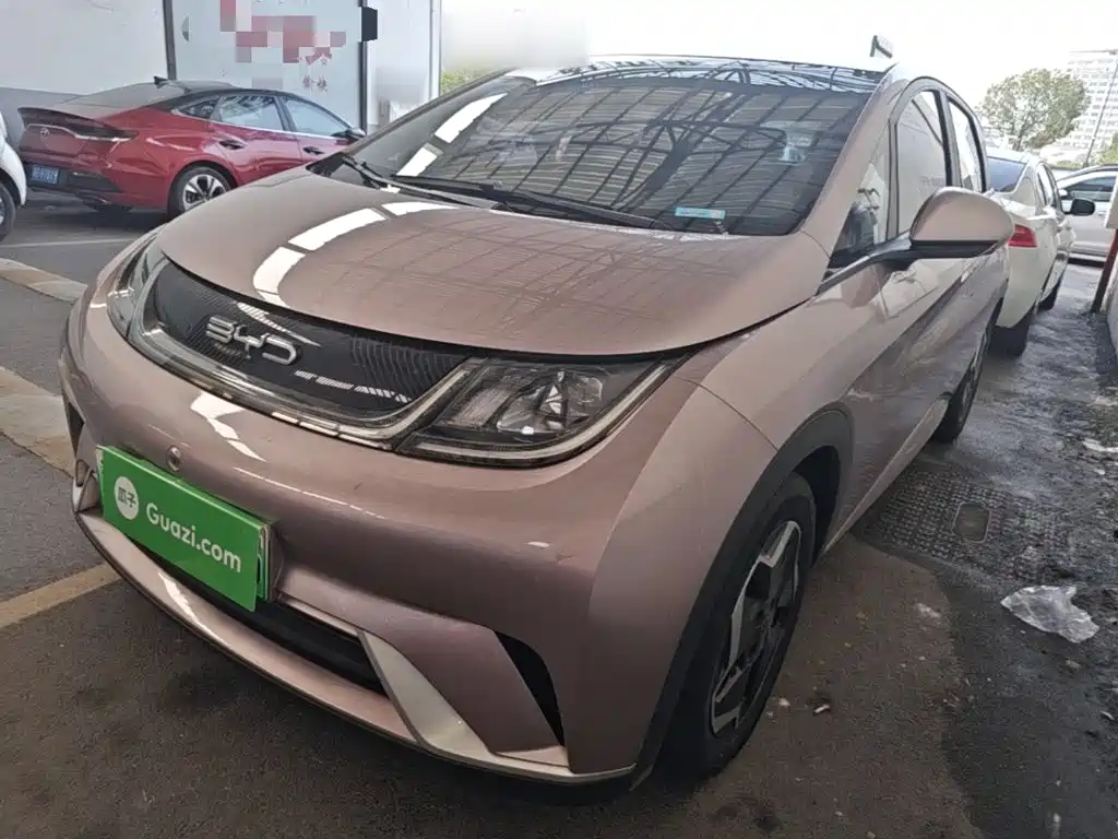 BYD Dolphin