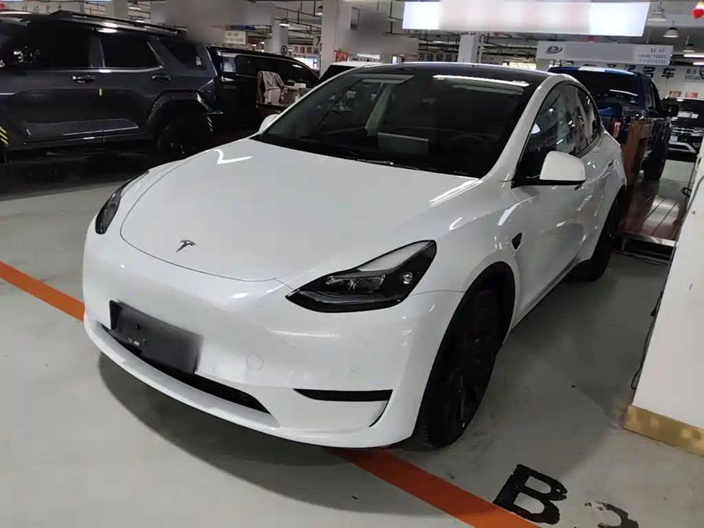 Tesla Model Y — миниатюра 2
