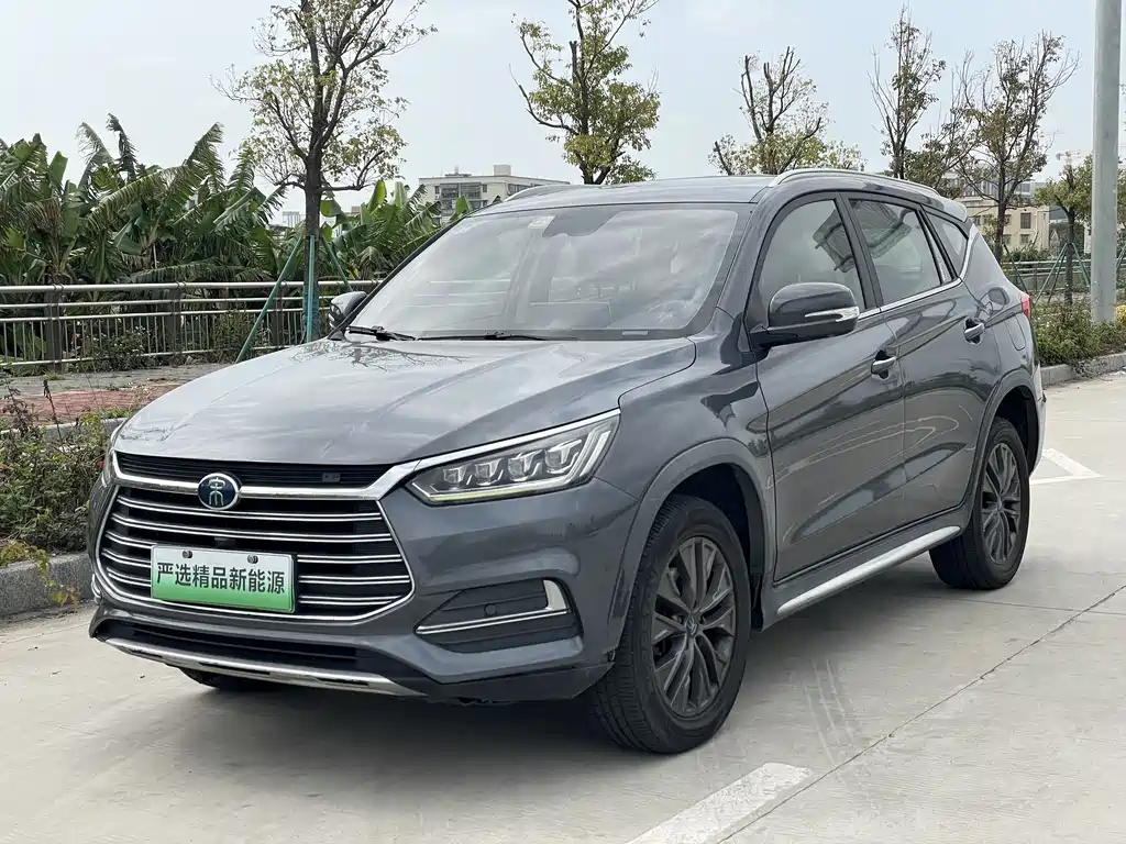 BYD New Energy 2019