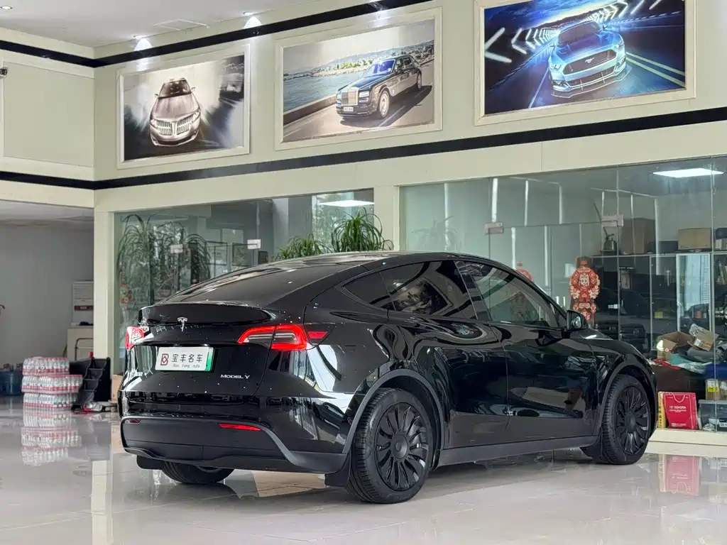 Tesla Model Y — миниатюра 15