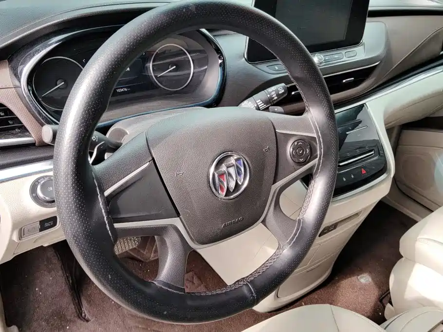 Buick GL8 — миниатюра 15