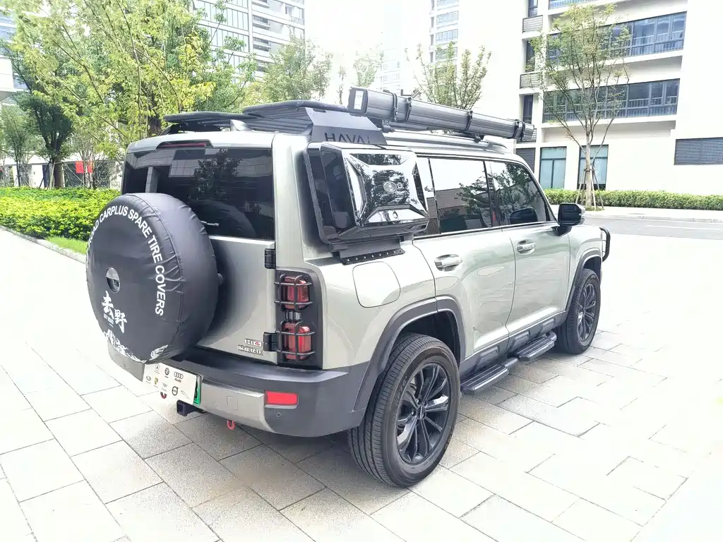 HAVAL RAPTORS NEW ENERGY