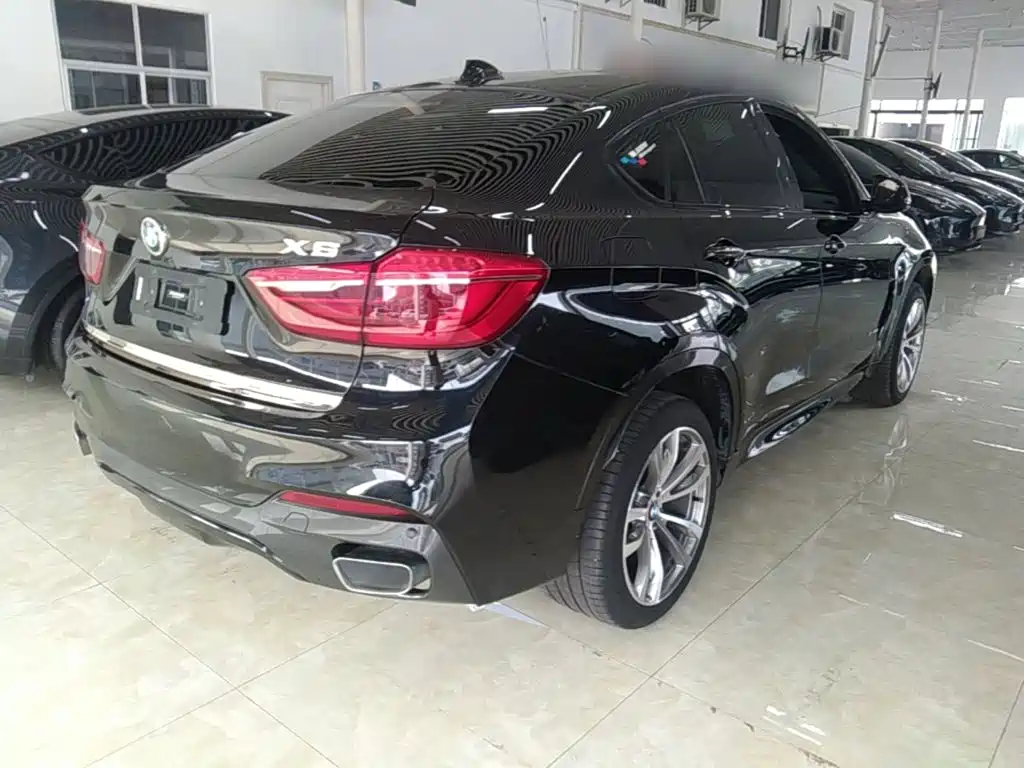 BMW X6 — миниатюра 7