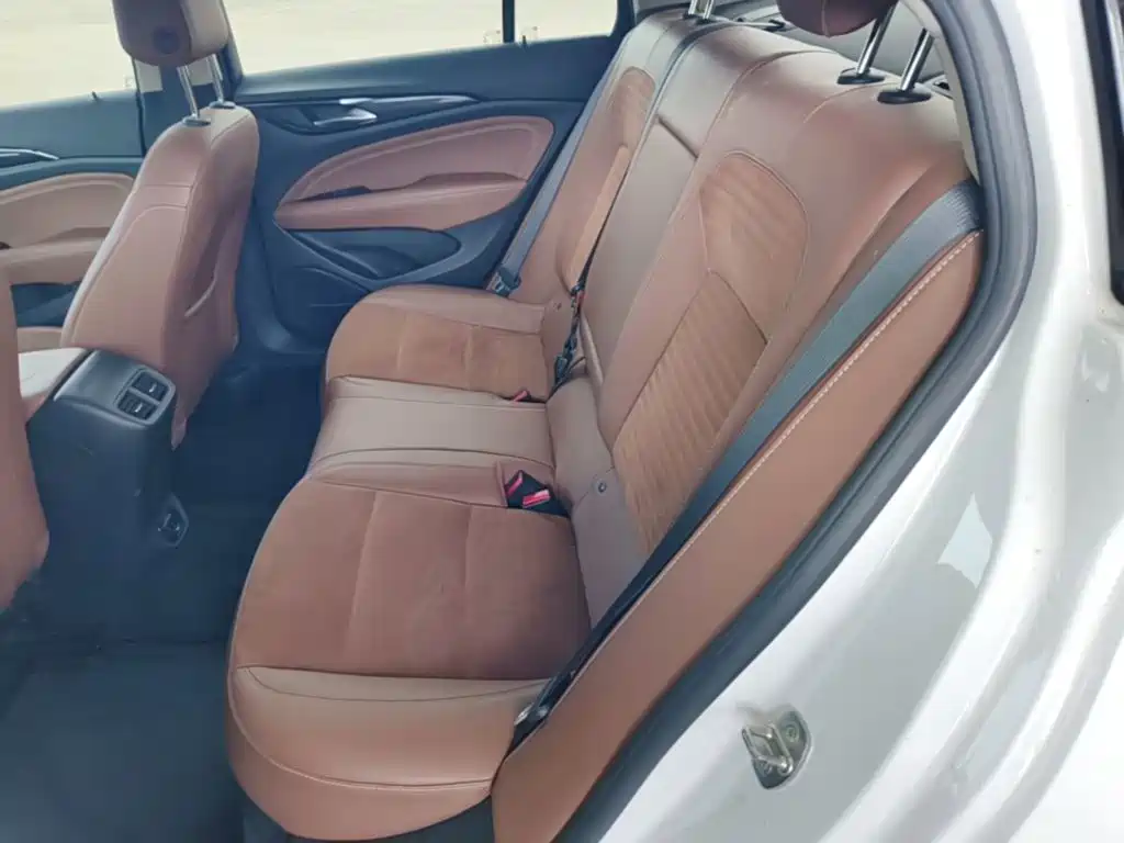 Buick Regal — миниатюра 17