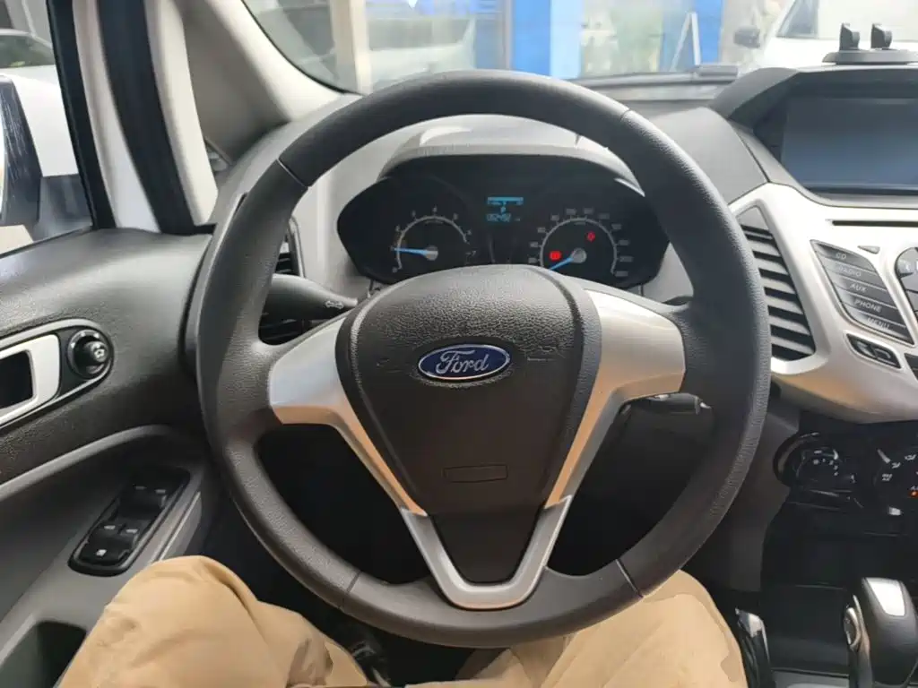 Ford Ecosport — миниатюра 11