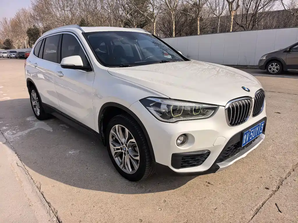 BMW X1 2019 sDrive20Li Lead