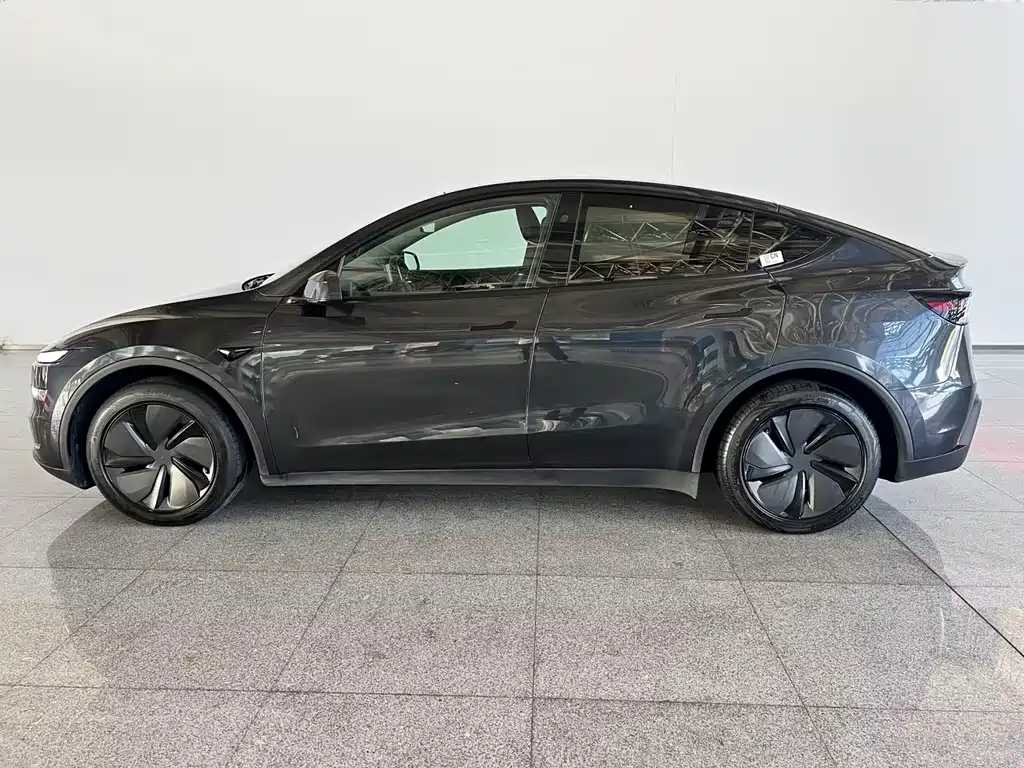 Tesla Model Y — миниатюра 2