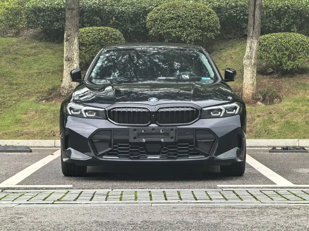 BMW 3 Series — миниатюра 2