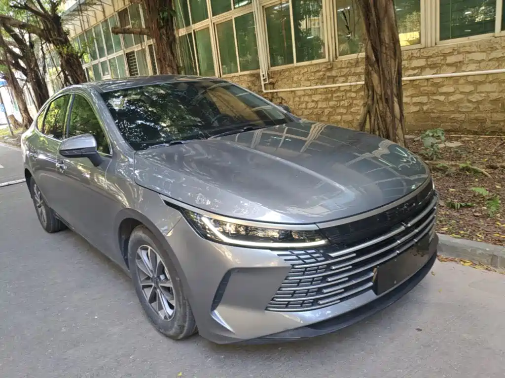 BYD Destroyer 05 — миниатюра 4