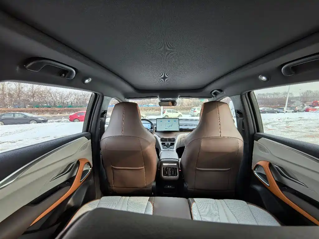 BYD SONGJIANG NEW ENERGY