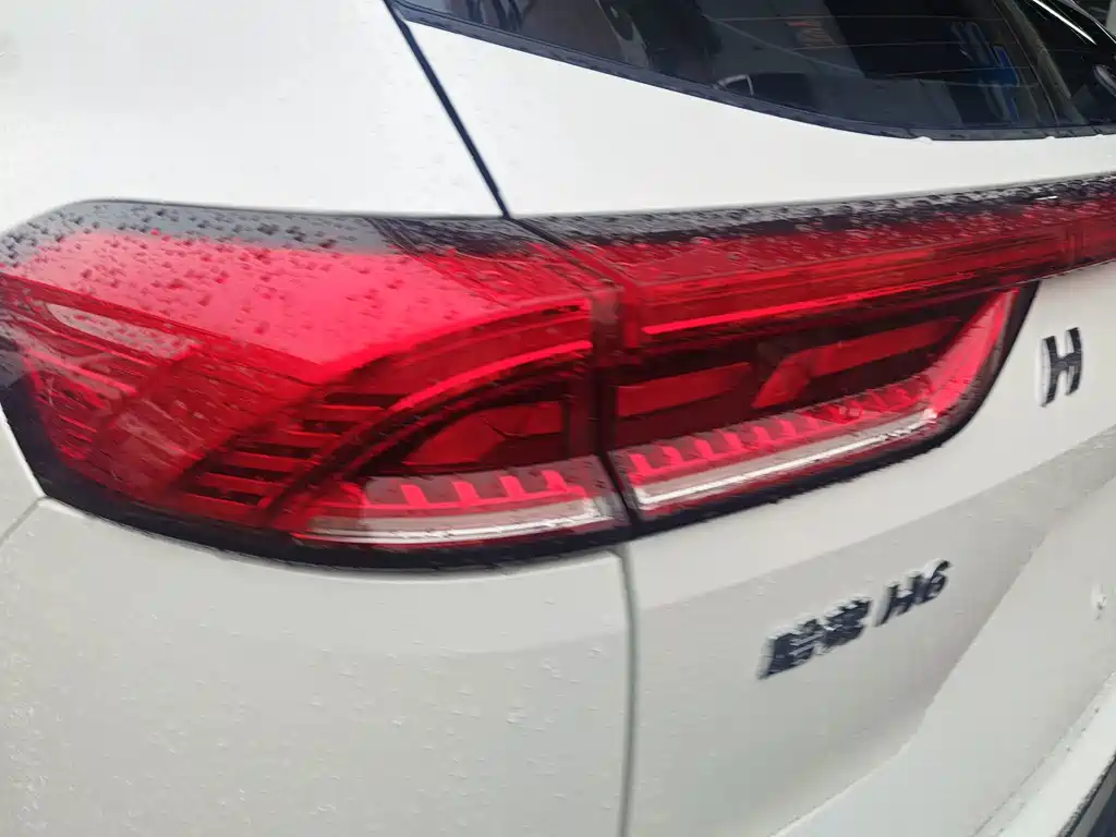 Haval H6 — миниатюра 14