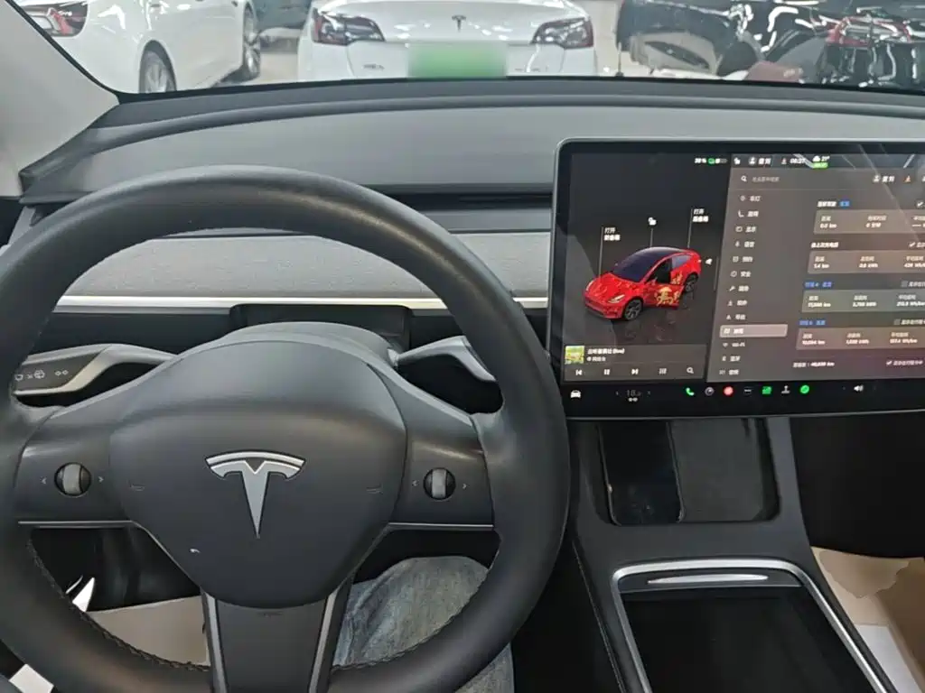 Tesla Model Y — миниатюра 10