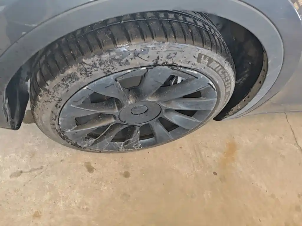 Tesla Model Y — миниатюра 23