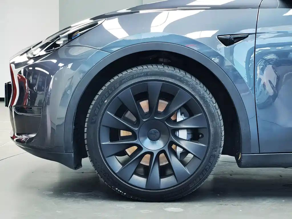 Tesla Model Y — миниатюра 5