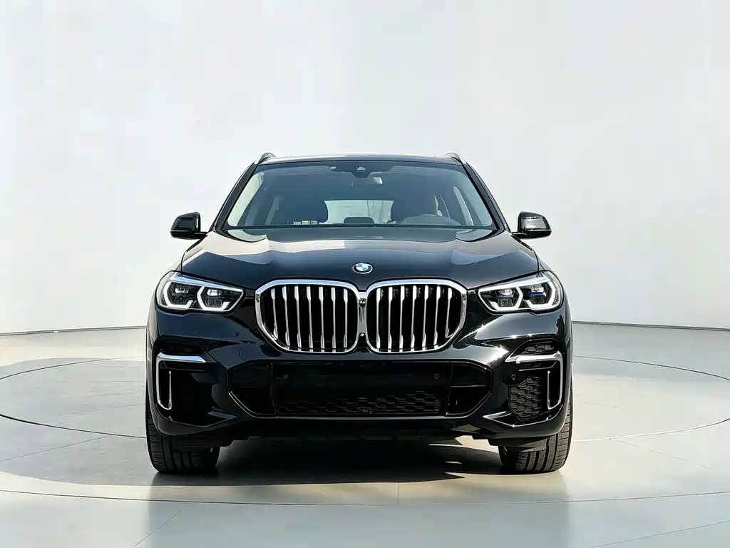 BMW X5 — миниатюра 2