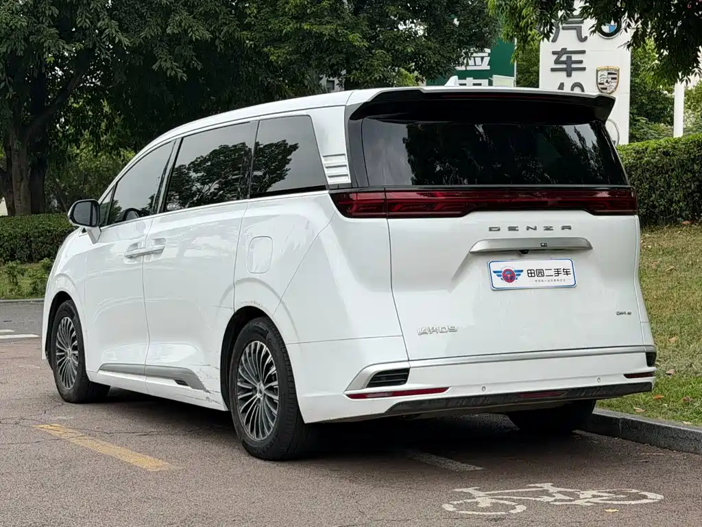 Denza Denza D9 — миниатюра 4