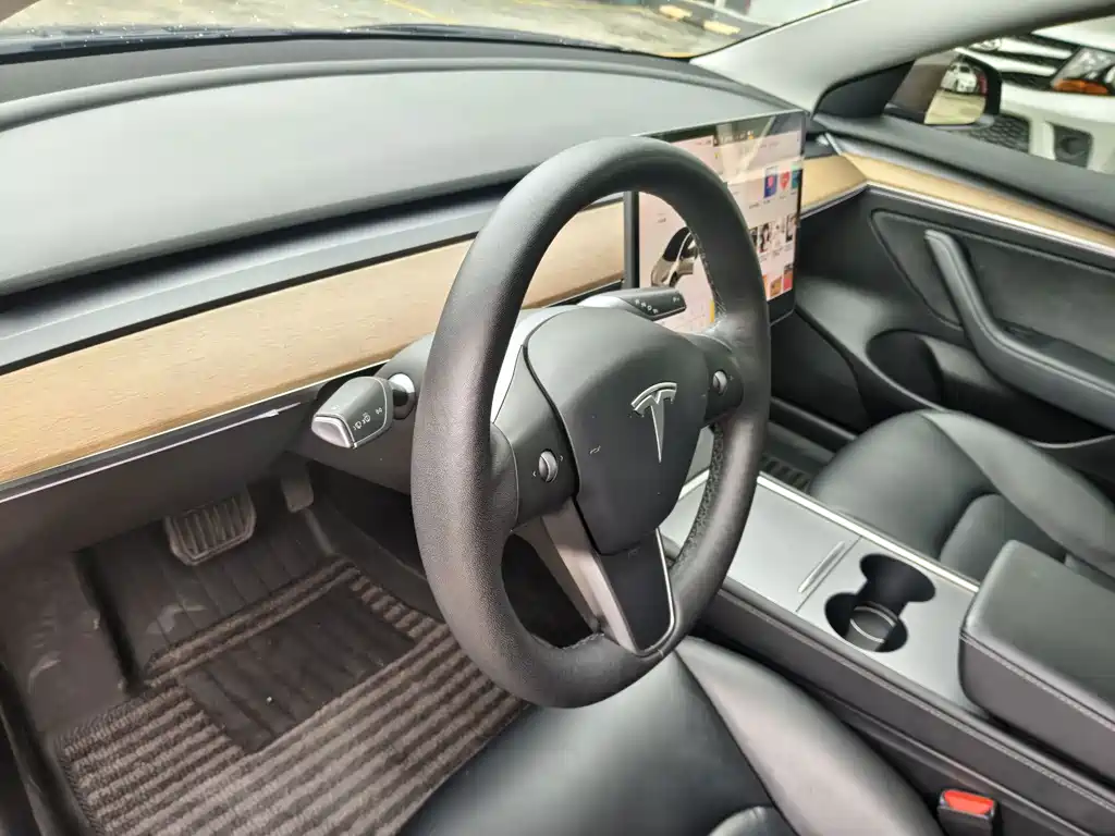 Tesla Model 3 — миниатюра 14