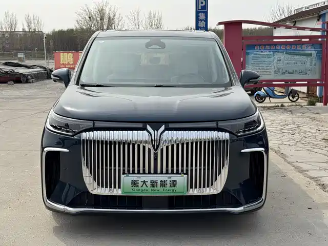 2024 Voyah Dream