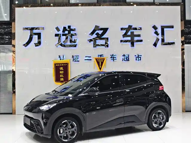 BYD Seagull