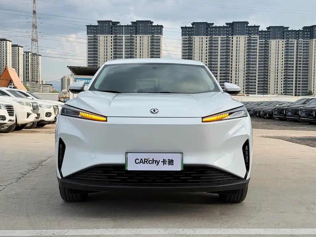 Dongfeng Sky EV01 2024 530km PRO