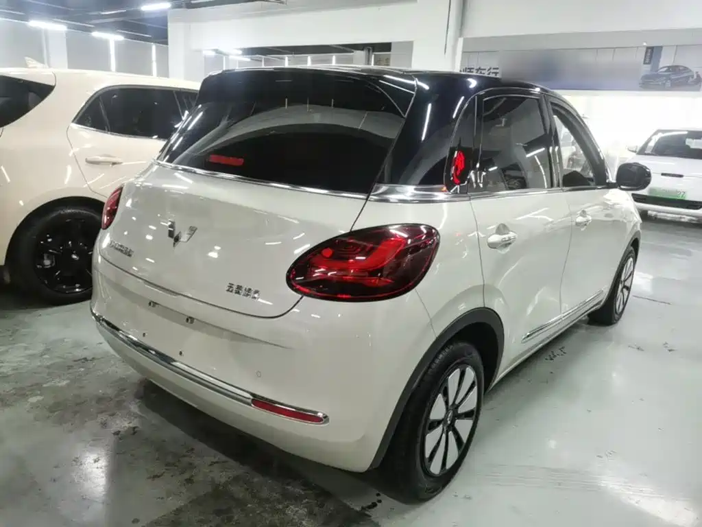 Wuling Binguo 2023 333km +